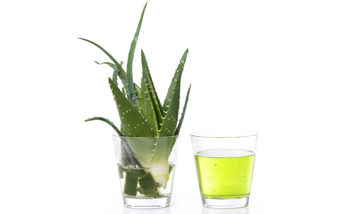 aaloe kasutamine