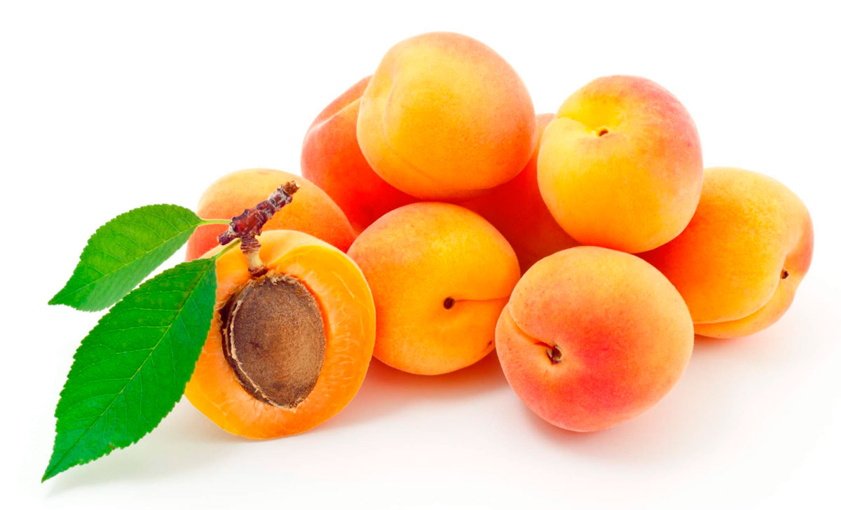aprikoosi kasulikkus