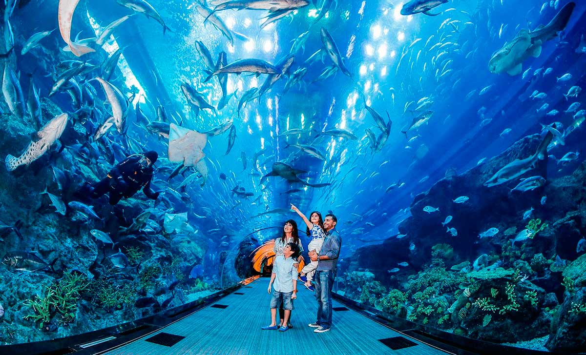 dubai akvaarium