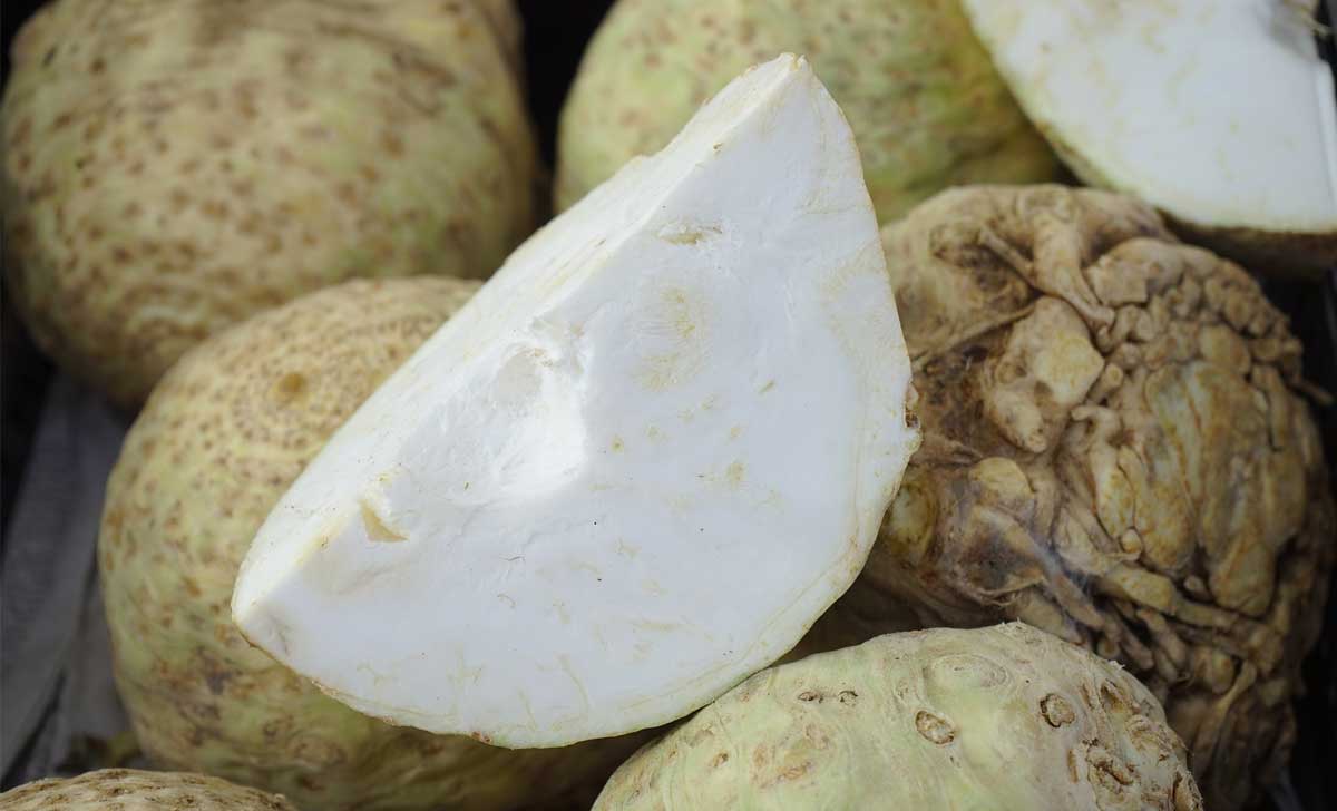 juurselleri kasulikkus