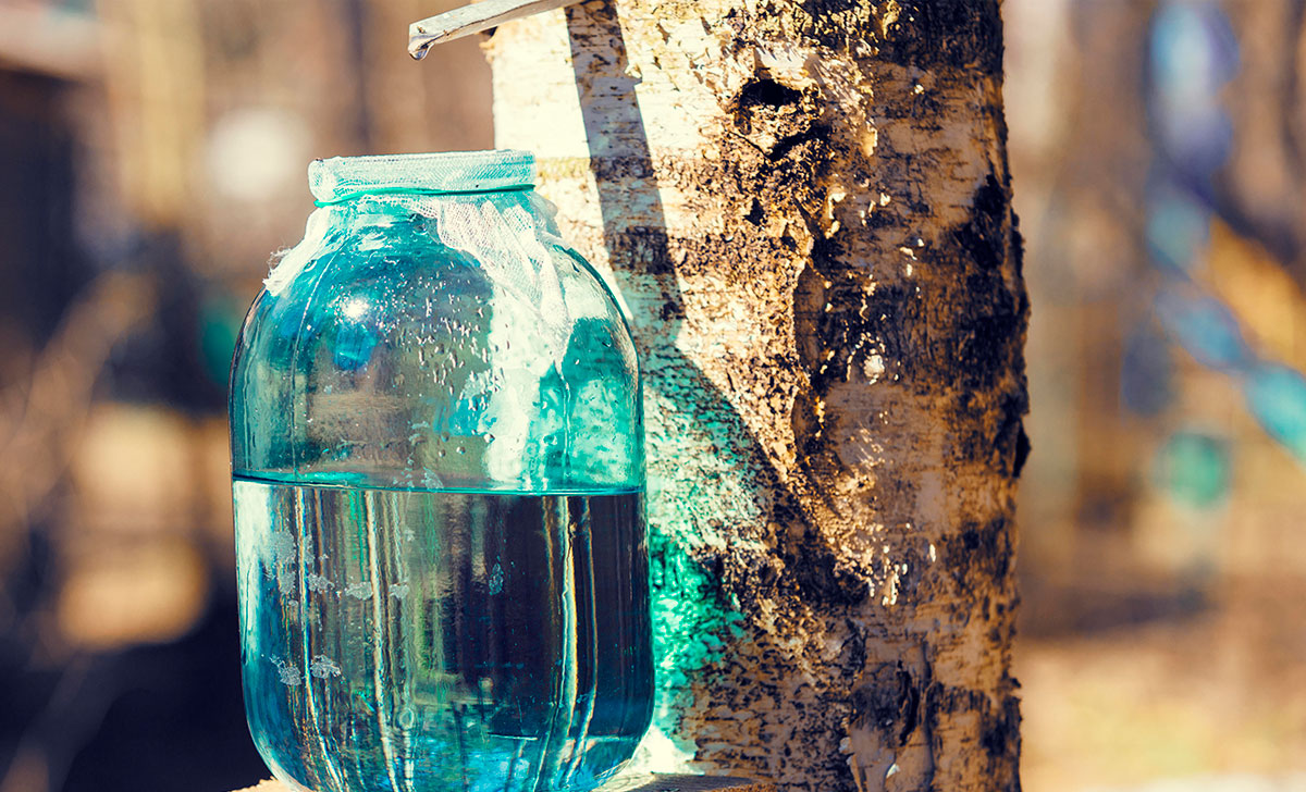 kasemahla kasulikkus