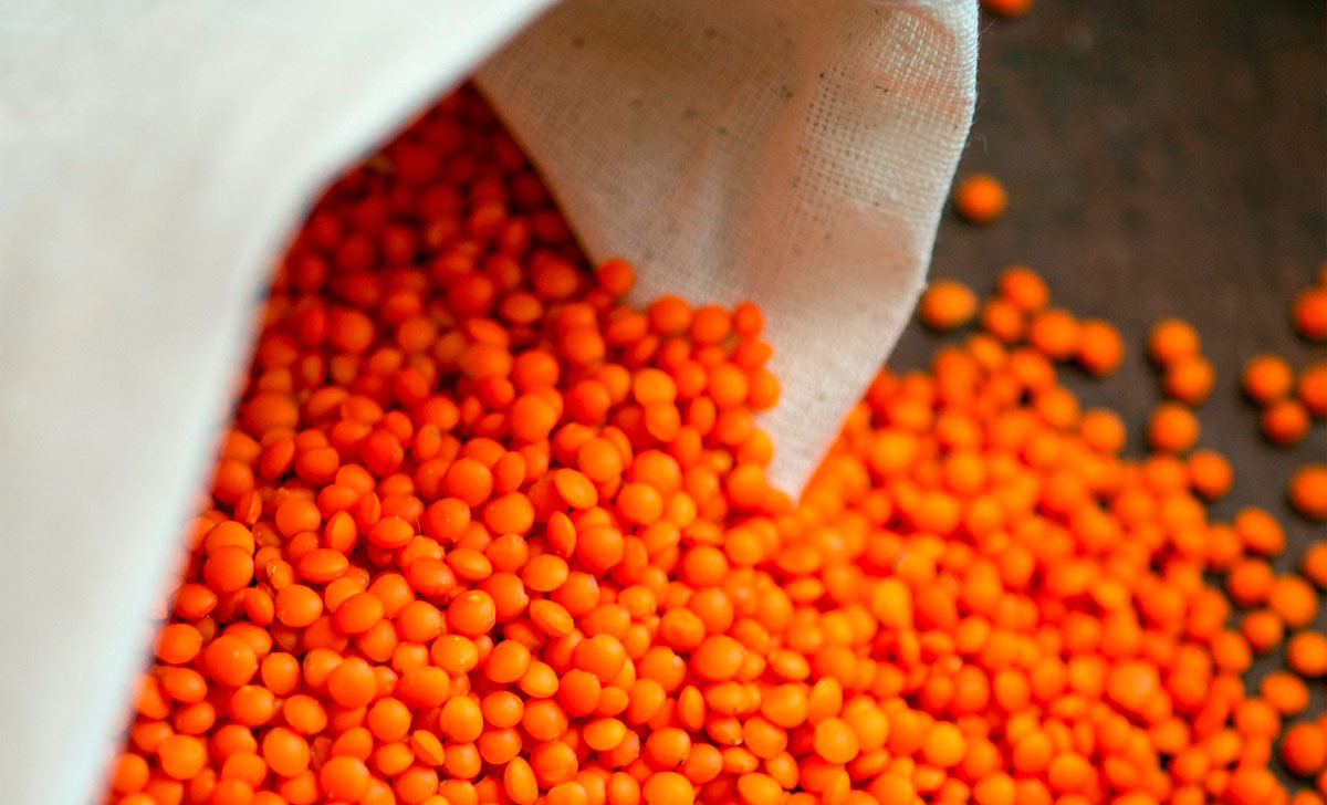 läätsede kasulikkus