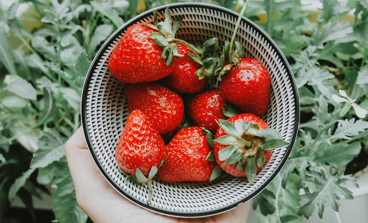 maasika säilitamine