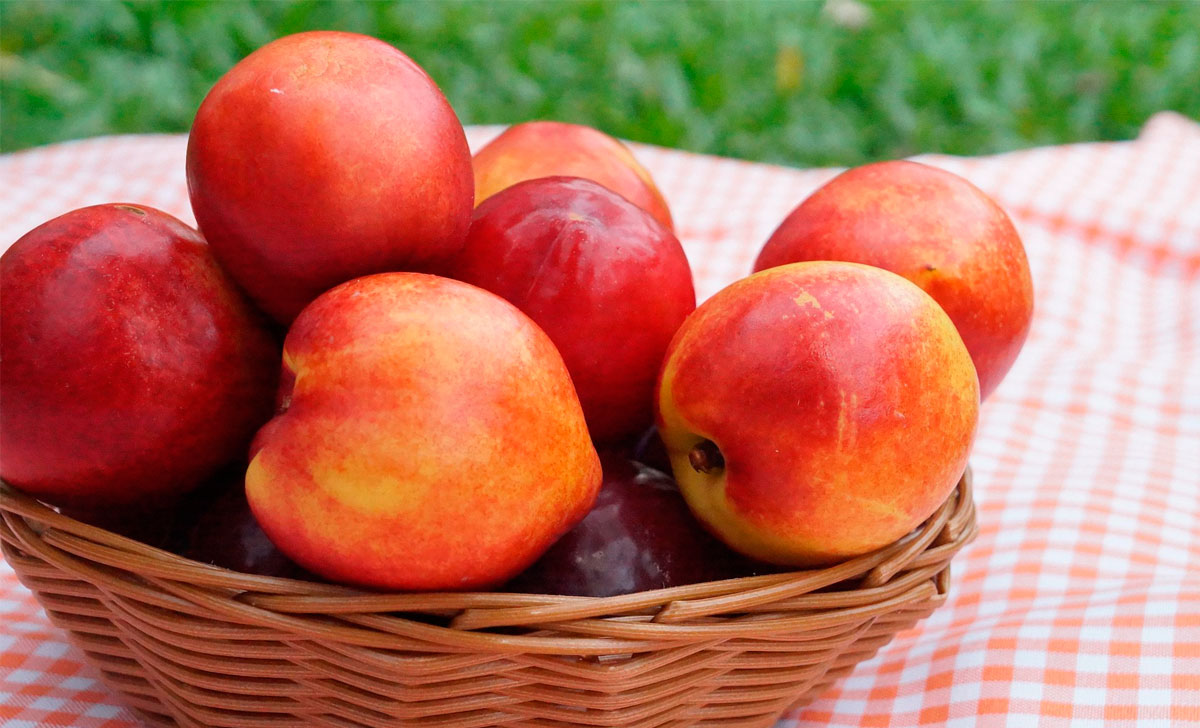 nektariini kasulikkus