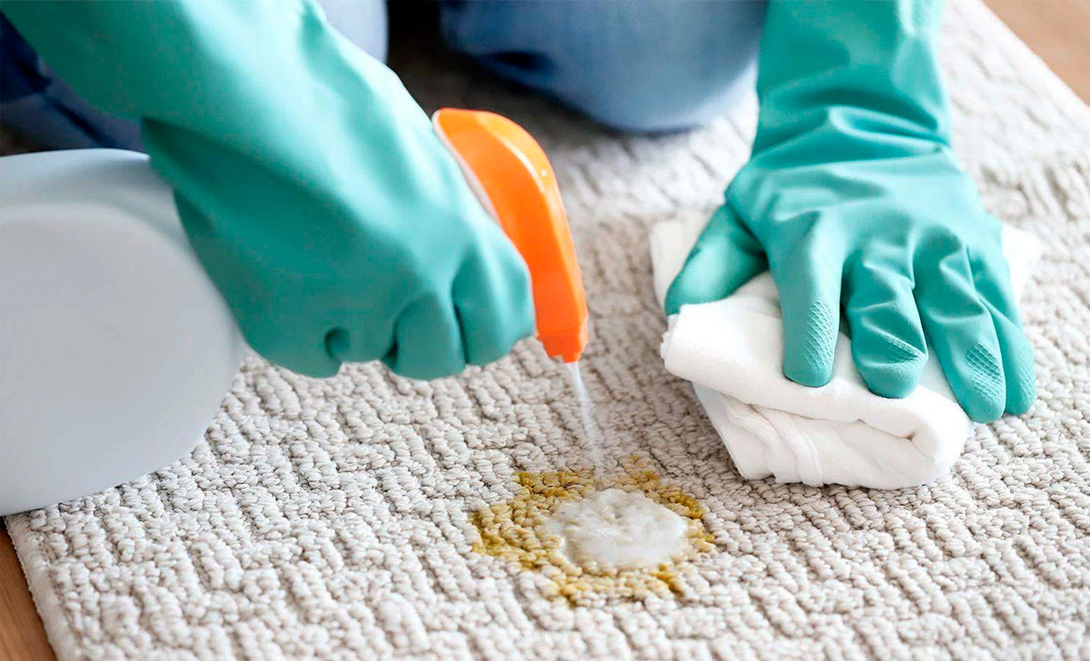 okse lõhna eemaldamine