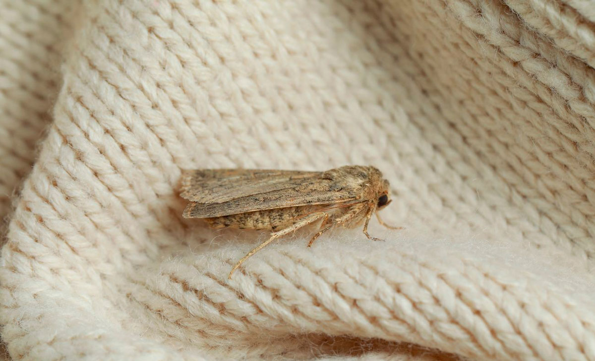 vahendid riidekoi vastu