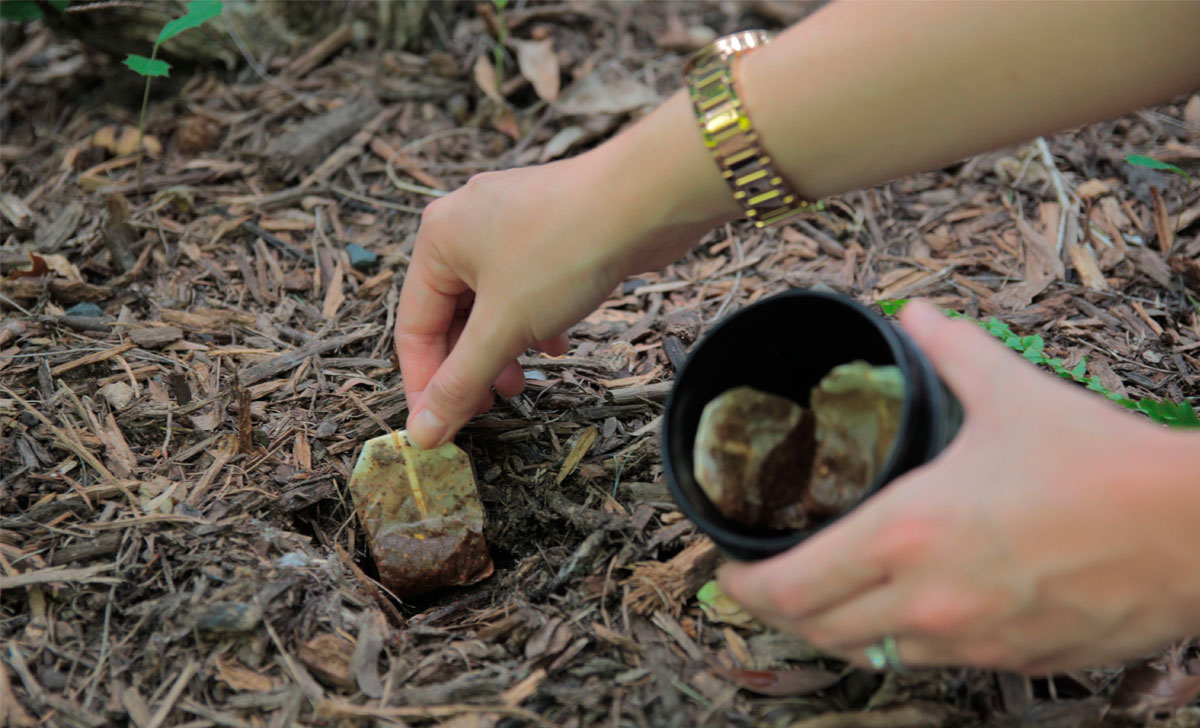 roheline tee väetis