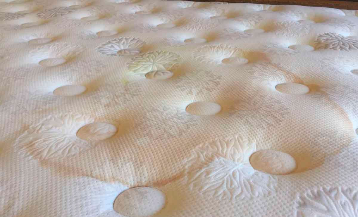 uriiniplekke eemaldamine